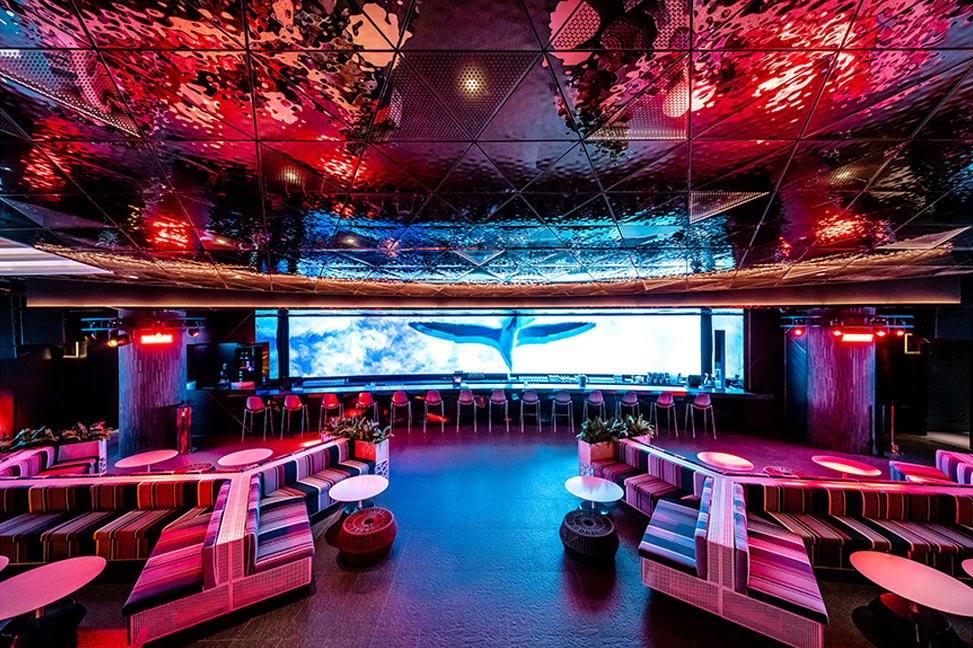 Round-trip Shuttle Bus from/to Club Chroma (Paradise City Hotel) - Photo 1 of 10